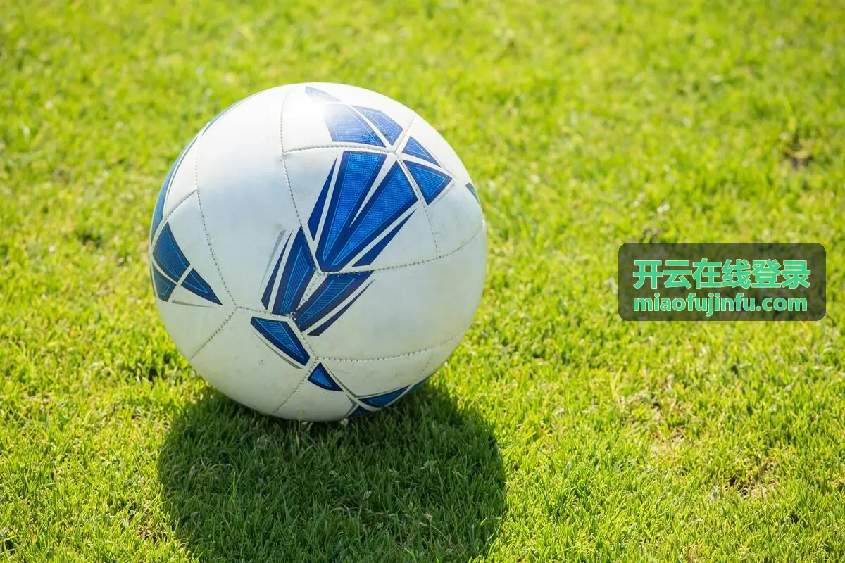 开云在线登录桌面客户端入口示意图